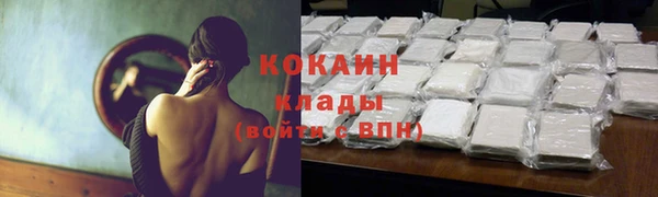 PSILOCYBIN Балабаново