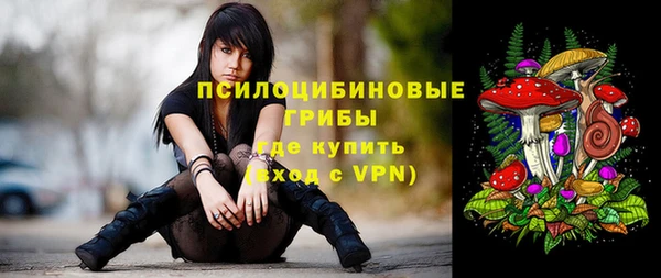 ГАЛЛЮЦИНОГЕННЫЕ ГРИБЫ Баксан